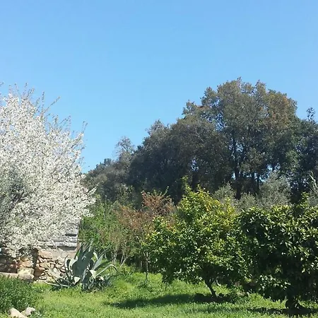 A Cantina Avec Piscine Proche D Ajaccio Carbuccia