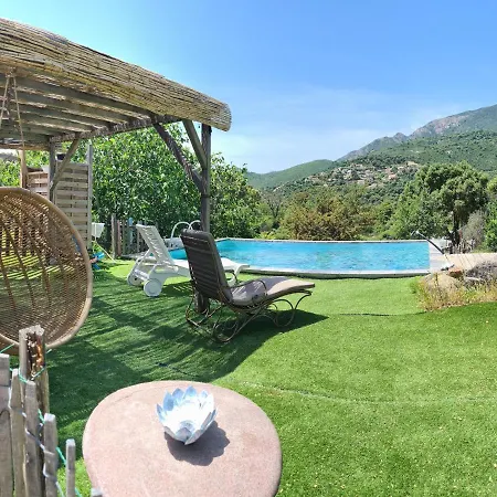 Chalet A Cantina Avec Piscine Proche D Ajaccio *