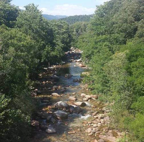 A Cantina Avec Piscine Proche D Ajaccio Alpesi faház Carbuccia