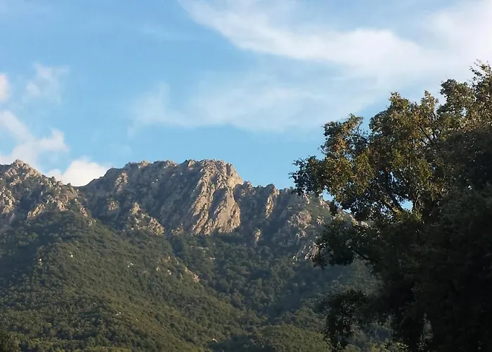 A Cantina Avec Piscine Proche D Ajaccio