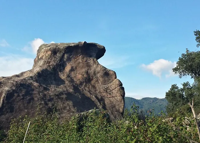 Alpesi faház A Cantina Avec Piscine Proche D Ajaccio