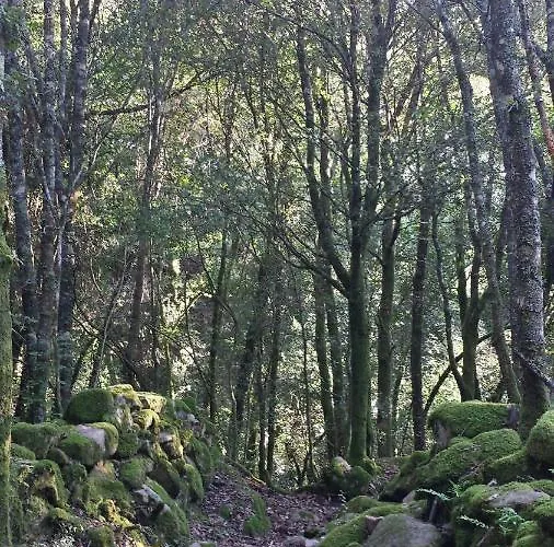 A Cantina Avec Piscine Proche D Ajaccio *