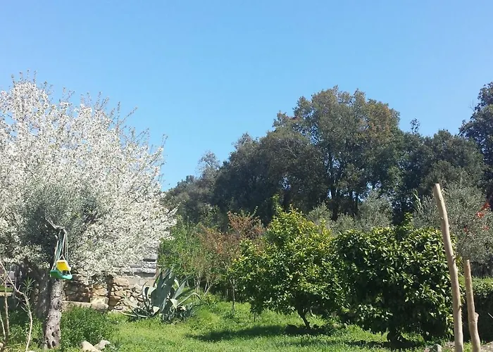 A Cantina Avec Piscine Proche D Ajaccio Carbuccia