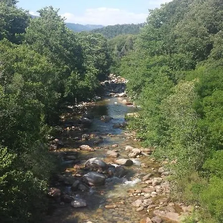 A Cantina Avec Piscine Proche D Ajaccio Σαλέ Carbuccia