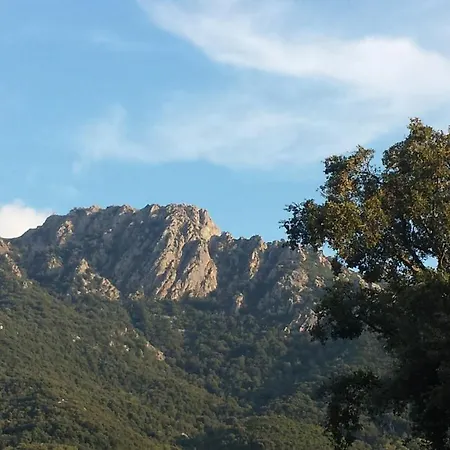 A Cantina Avec Piscine Proche D Ajaccio