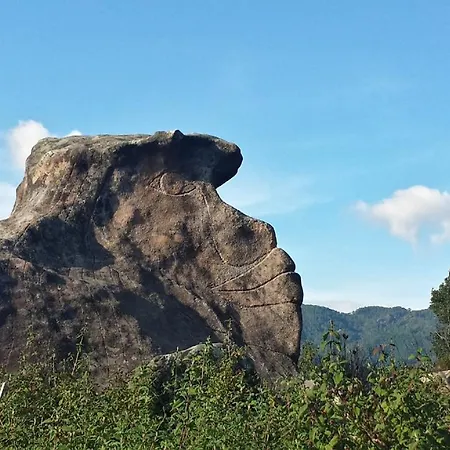 シャレー A Cantina Avec Piscine Proche D Ajaccio