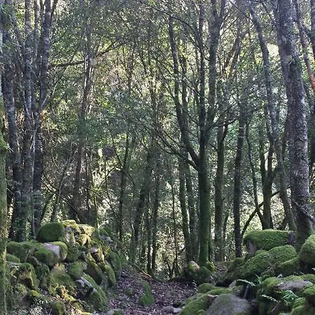 A Cantina Avec Piscine Proche D Ajaccio *