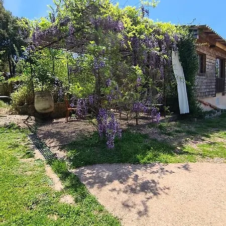 A Cantina Avec Piscine Proche D Ajaccio *