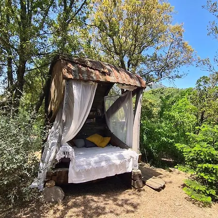 Chalet A Cantina Avec Piscine Proche D Ajaccio *