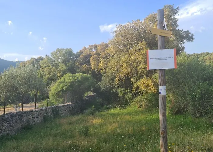 A Cantina Avec Piscine Proche D Ajaccio * Carbuccia